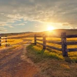 Photo of ranch entrance with sun setting