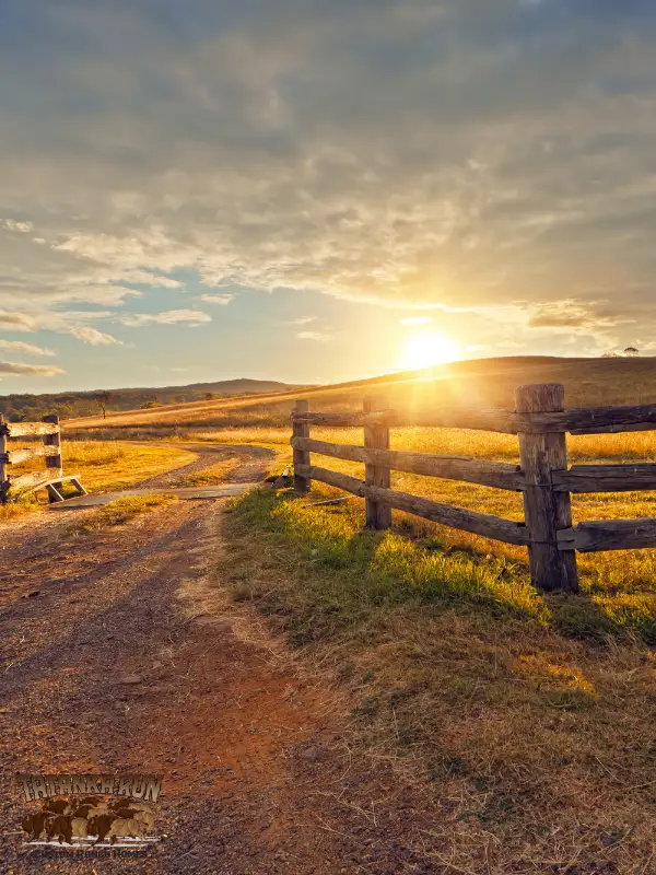 Photo of ranch entrance with sun setting