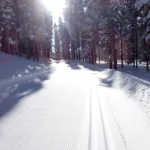 Photo of a cross country skiing trail