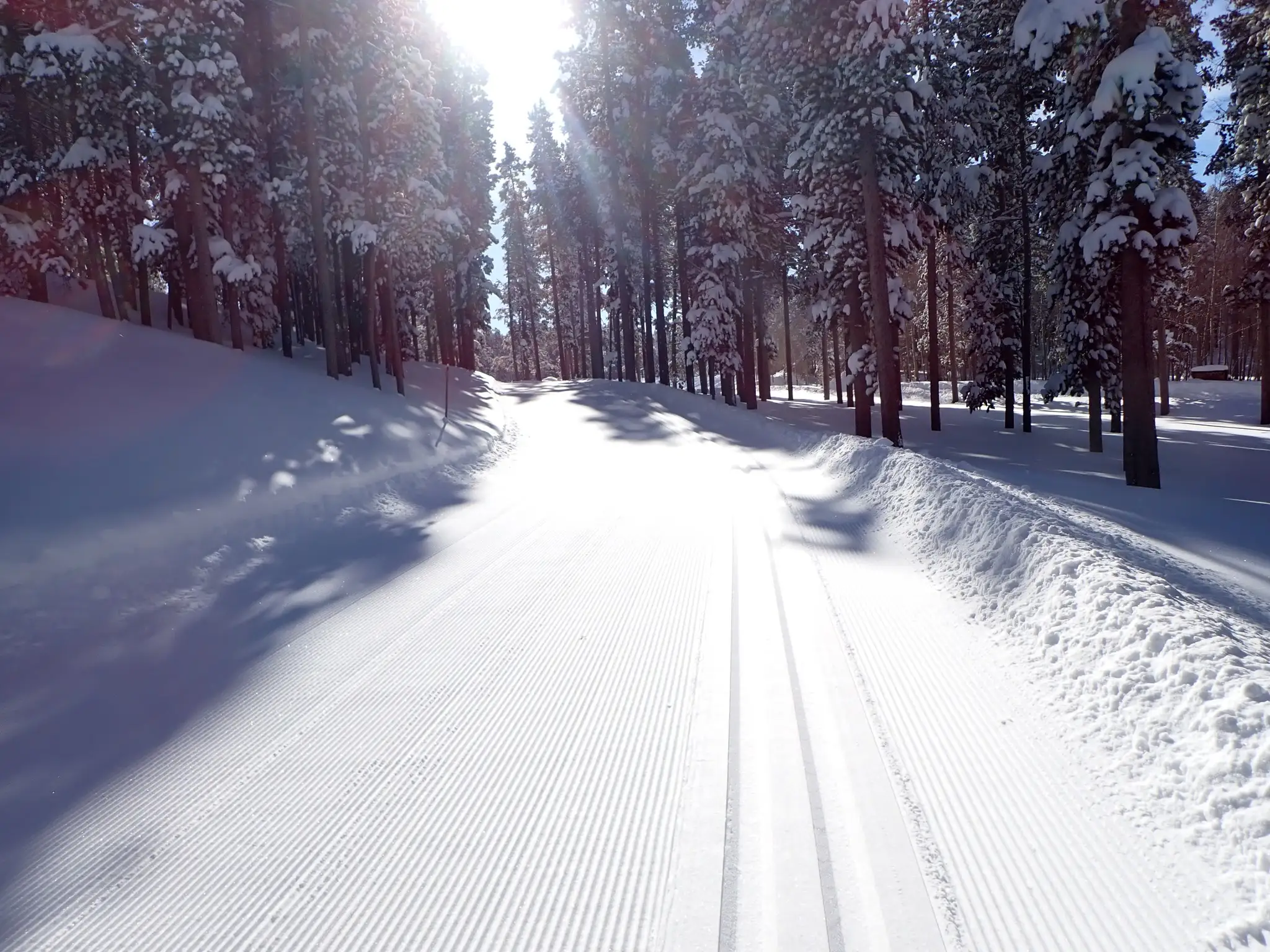 Photo of a cross country skiing trail