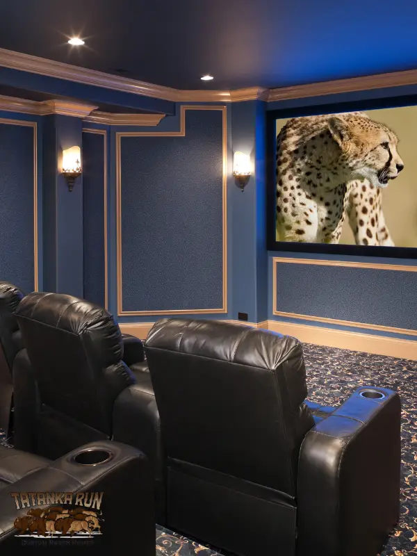 Image of a custom home theater